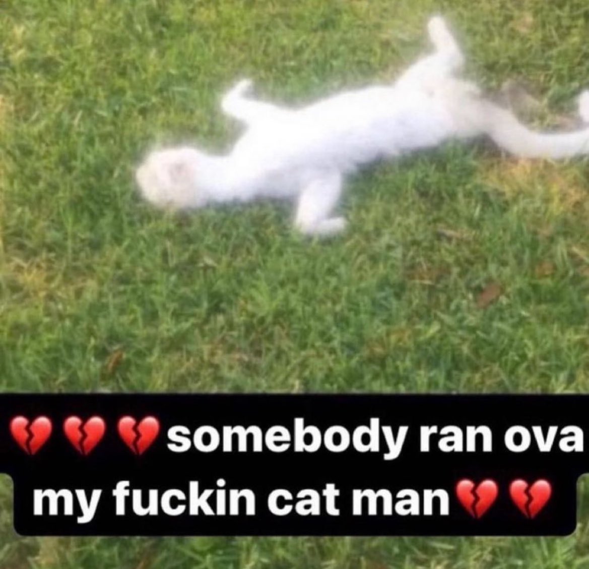 servivng (@servivng) on Twitter photo 