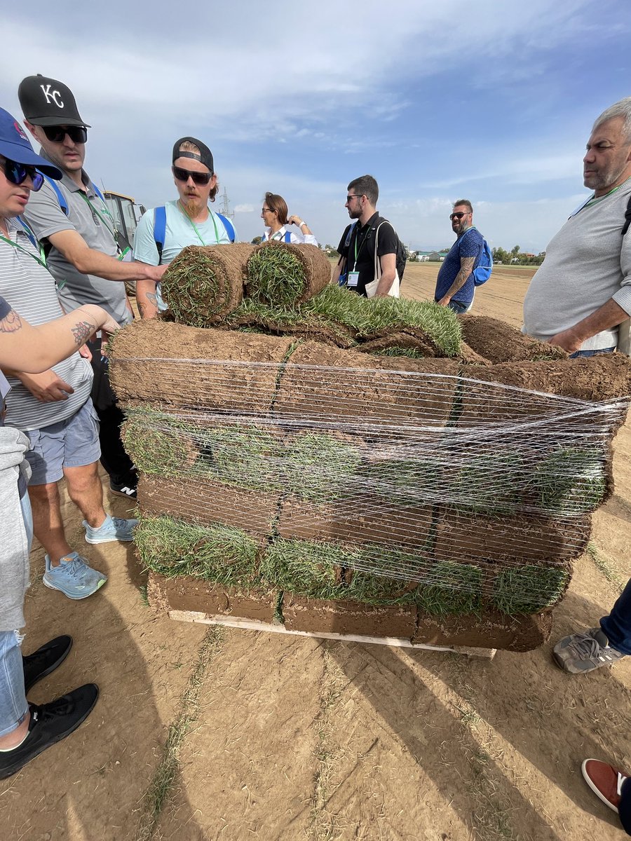 DeBuckSodFarm's tweet photo. Ciao from Italy! 🇮🇹
Currently on a turfgrass producers tour of Italy. Connected with ETP to tour two sod farms outside Rome. Bellissimo!
#turfgrassproducersinternational #europeanturfgrassproducers #sodfarming #sodfarm #realgrass #keepitreal #debucksodfarm https://t.co/grR7fQsIQS