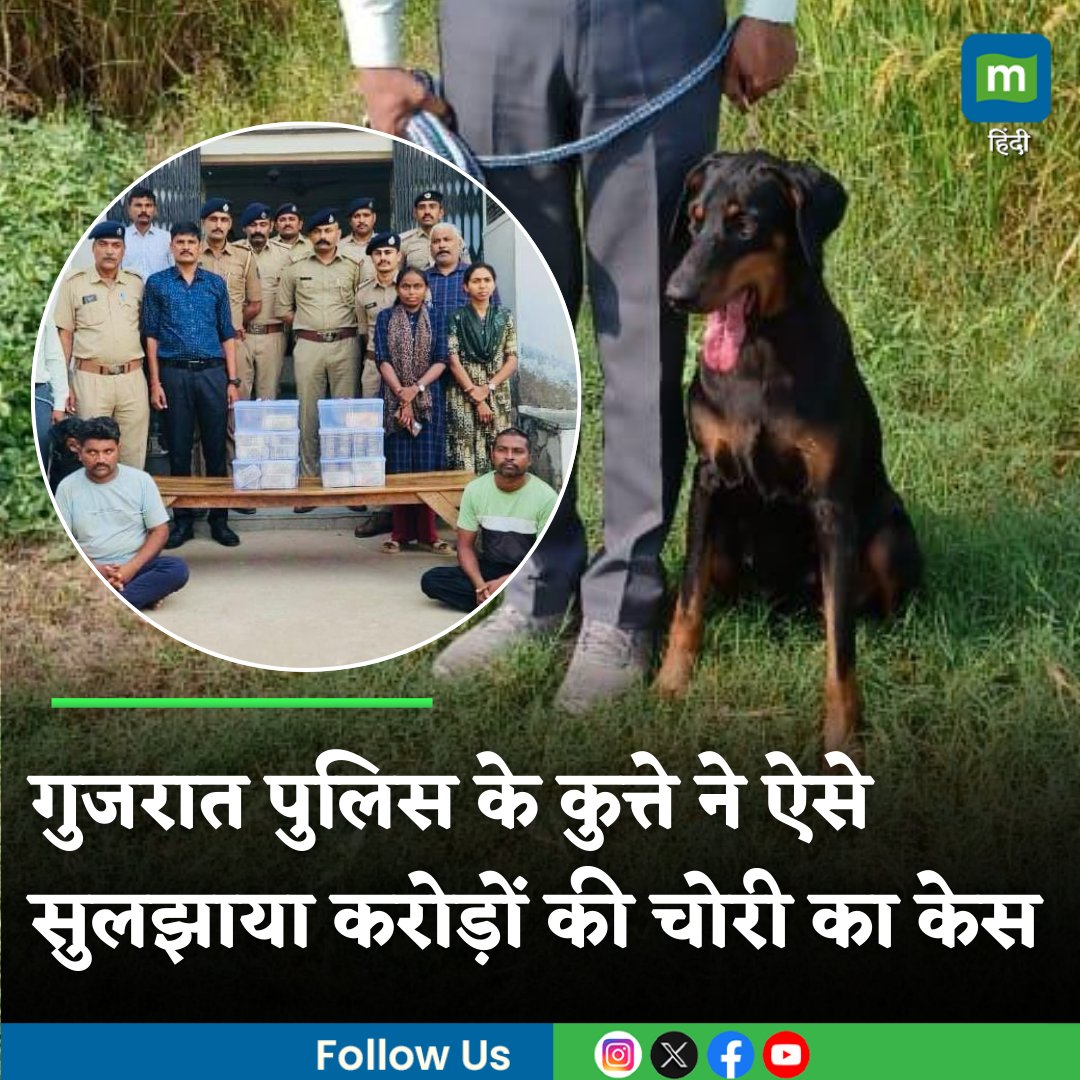MoneycontrolH's tweet photo. #Gujarat: पुलिस के कुत्ते ने ऐसे सुलझाया करोड़ों की चोरी का केस, किसान के घर से चोरी हुए 1.07 करोड़ रुपए बरामद

https://t.co/9h5Vki6U9S

#gujaratpolice #policedog #solvedcase #trendingnews #moneycontrol https://t.co/Wts1SzUTXv
