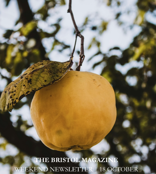 It's newsletter day! Discover the very best of Bristol's Autumn activities, shops and events this week, specially curated for you by The Bristol Magazine 🍁

Check it out: preview.mailerlite.com/f6k9w3w3h8