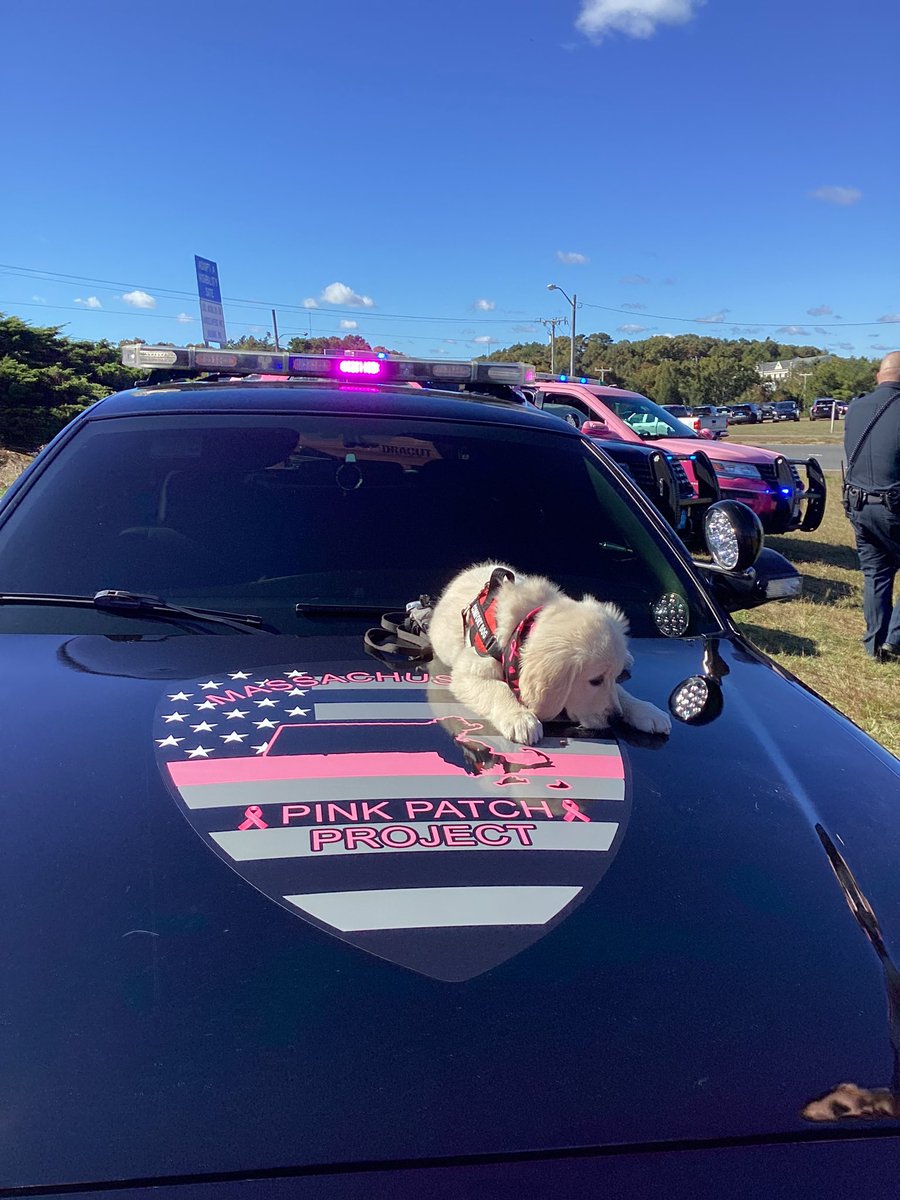 BHCCPD's tweet photo. Thank you Mass Pink Patch for organizing the annual Pink Patch photo event. Officer Wiley๐พ was excited to meet all agencies in the Pink patch family. #masspinkpatchproject #bhcc #bhccpd https://t.co/iXkognYsdP