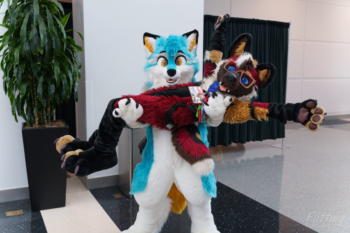 Zeni 🔜 AC, AFC, Infurnity (@zenithfolf) on Twitter photo Lifting up friends (with permission) is fun! Especially adorable ones like <a href="/RyattAWD/">📡 RyattAWD 📡 @ AFC</a> :3
🪡 <a href="/PrimalSuits/">Primal Roots Crafts and Suits</a> <a href="/AnimagusStudios/">☘️Animagus Studios☘️Furum 2025</a>
📸 <a href="/StAntwelm/">St Antwelm's Assumption</a>
#FursuitFriday Lifting up friends (with permission) is fun! Especially adorable ones like <a href="/RyattAWD/">📡 RyattAWD 📡 @ AFC</a> :3
🪡 <a href="/PrimalSuits/">Primal Roots Crafts and Suits</a> <a href="/AnimagusStudios/">☘️Animagus Studios☘️Furum 2025</a>
📸 <a href="/StAntwelm/">St Antwelm's Assumption</a>
#FursuitFriday