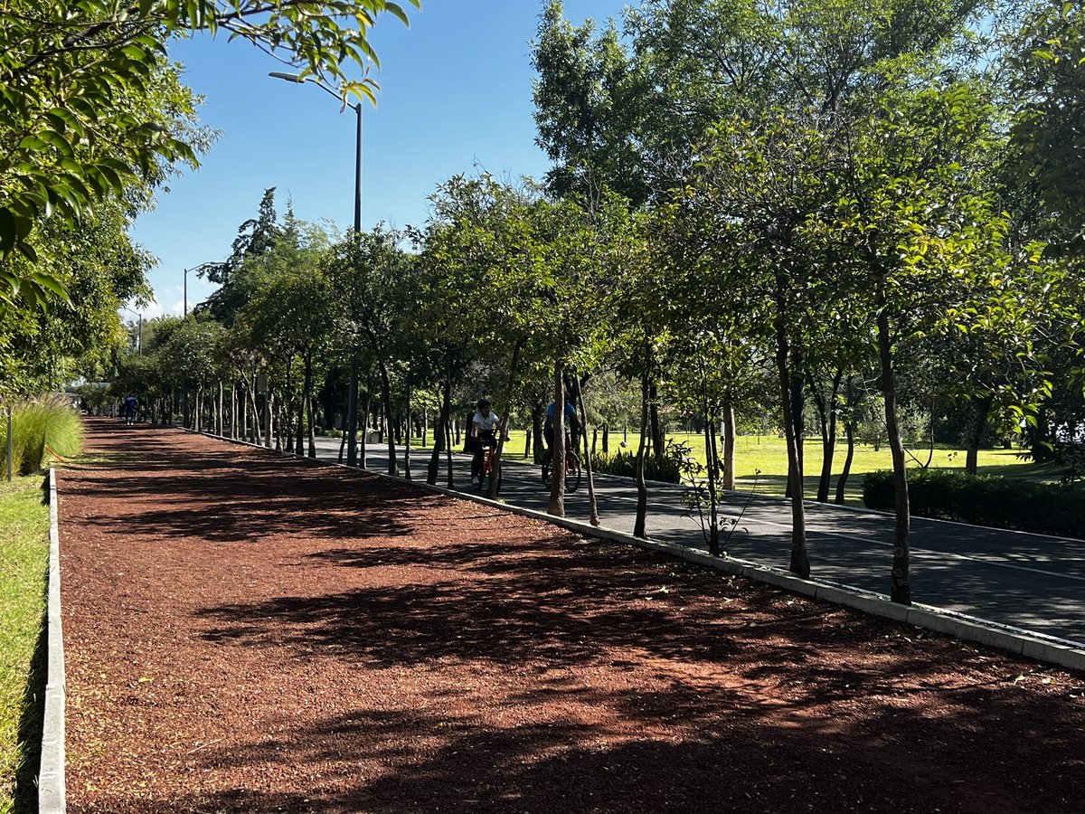 ParquesPuebla's tweet photo. Mañana fresca y de deporte en el Parque Ecológico. ¡Ven con tu familia este fin de semana! #ViveTuParque en movimiento 🤸 https://t.co/vTwpynCnv7