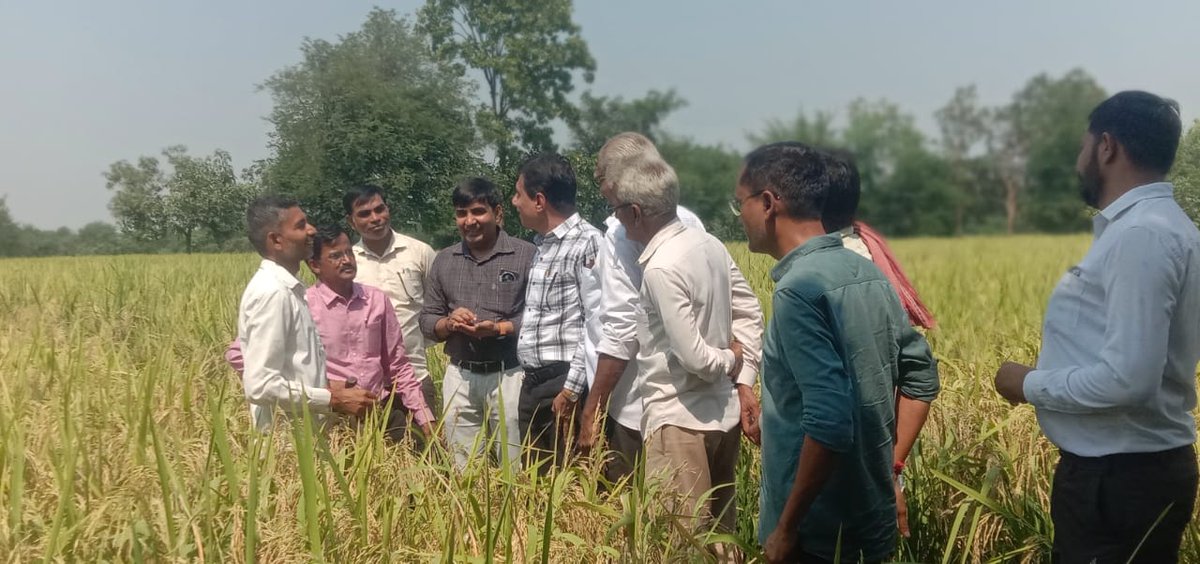 DDO_Anand's tweet photo. વિકાસ સપ્તાહની ઉજવણી દરમિયાન આત્મા પ્રોજેક્ટ, આણંદ દ્વારા પ્રાકૃતિક કૃષિ કાર્યક્રમની એક ઝલક.
#અગ્રેસર_ગુજરાત 
#23yearsofsuccess 
#23yearsofgrowth 
#23yearsofgoodgovernance https://t.co/MYGU8XkdrW