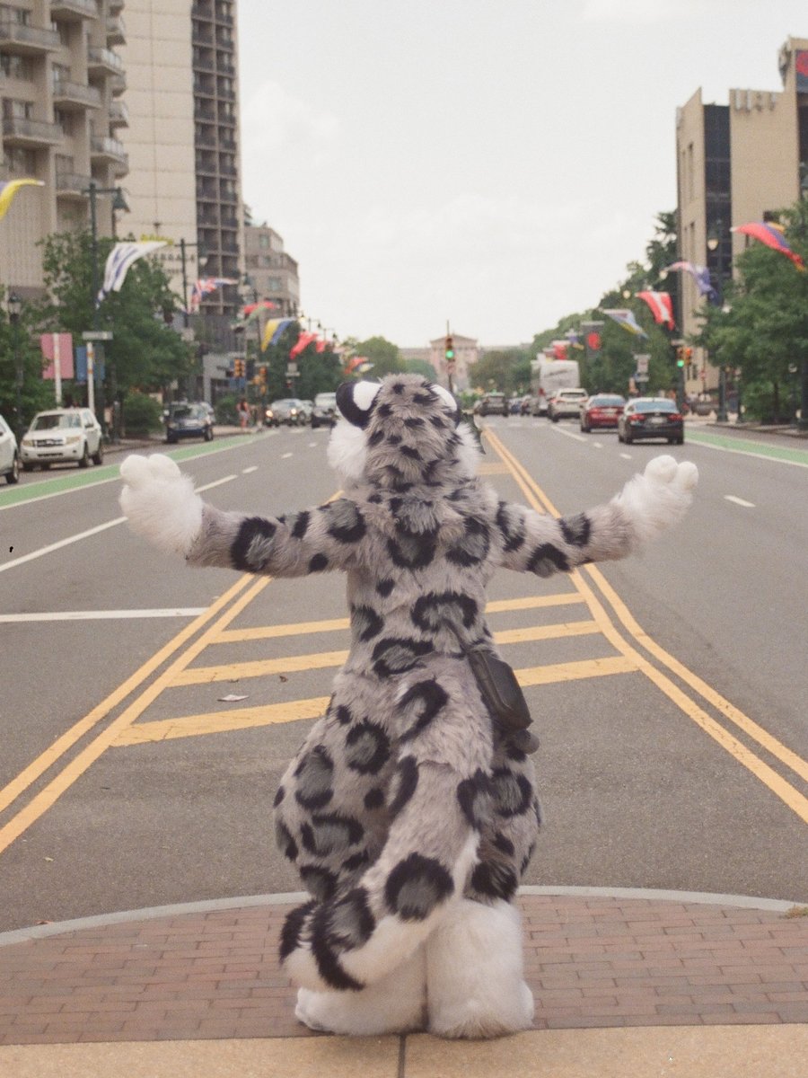 Holly Snep (holly.snep.world) (@hollysnep) on Twitter photo Phileopardelphia
#Fursuitfriday
Taken on film by <a href="/ArtieMog/">Artemis Mog 🟦🟨🟧</a> Phileopardelphia
#Fursuitfriday
Taken on film by <a href="/ArtieMog/">Artemis Mog 🟦🟨🟧</a>