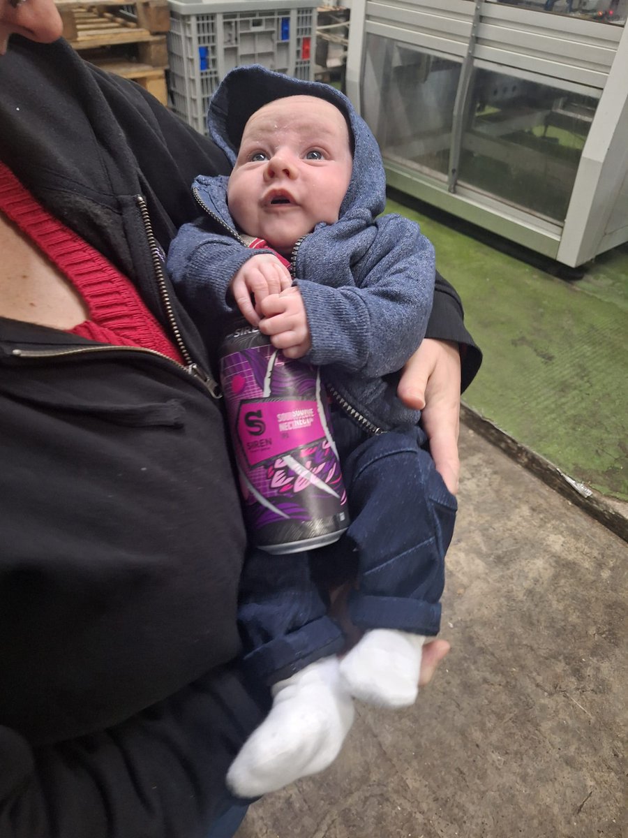 Please welcome <a href="/SirenCraftBrew/">Siren Craft Brew</a> 's newest recruit- Arnie loved his 1st day 🥰
