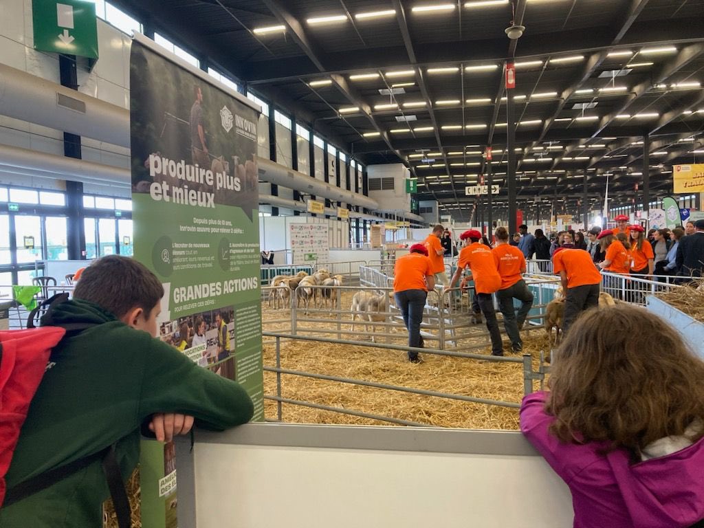 Olympiades des Métiers 
Périple de 3 jours à Bordeaux et Mimizan pour nos élèves de 4 et 3 SEGPA dans le cadre de la découverte des Métiers et du Parcours Avenir. <a href="/NvelleAquitaine/">Nouvelle-Aquitaine</a> <a href="/Dsden23/">DSDEN de la Creuse</a> <a href="/aclimoges/">Académie de Limoges</a>