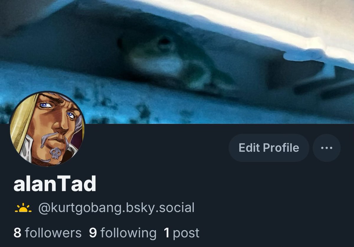 KurtGoBang tweet media