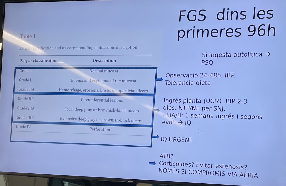Cirurgia Althaia 🏥 (@cirurgiaalthaia) on Twitter photo Avui a la #sheilasessions la <a href="/Regi70447447/">Regi</a> ha fet un “update” de la ingesta de càustics👏👏
<a href="/ColleraPablo/">Pablo Collera</a> <a href="/MarcosSola4/">Marcos Sola</a> <a href="/sheilaserrapla/">sheilaserrapla</a> <a href="/LSanchon/">Lorena Sanchon</a> <a href="/csotomontesinos/">Cristina Soto</a> <a href="/LabroTxell/">Txell Labró</a> <a href="/javier_curto/">Javi</a> <a href="/RFarr15/">R. Farré</a> <a href="/Gabboddg/">Gabriel Díaz Del Gobbo</a> <a href="/maria_saladich/">Maria Saladich</a> <a href="/claudioguari/">Claudio Guariglia</a> <a href="/mguell1/">mguell</a> <a href="/MeritxellFont96/">Meritxell Font</a> <a href="/drasarapardo/">Sara Pardo</a> Avui a la #sheilasessions la <a href="/Regi70447447/">Regi</a> ha fet un “update” de la ingesta de càustics👏👏
<a href="/ColleraPablo/">Pablo Collera</a> <a href="/MarcosSola4/">Marcos Sola</a> <a href="/sheilaserrapla/">sheilaserrapla</a> <a href="/LSanchon/">Lorena Sanchon</a> <a href="/csotomontesinos/">Cristina Soto</a> <a href="/LabroTxell/">Txell Labró</a> <a href="/javier_curto/">Javi</a> <a href="/RFarr15/">R. Farré</a> <a href="/Gabboddg/">Gabriel Díaz Del Gobbo</a> <a href="/maria_saladich/">Maria Saladich</a> <a href="/claudioguari/">Claudio Guariglia</a> <a href="/mguell1/">mguell</a> <a href="/MeritxellFont96/">Meritxell Font</a> <a href="/drasarapardo/">Sara Pardo</a>