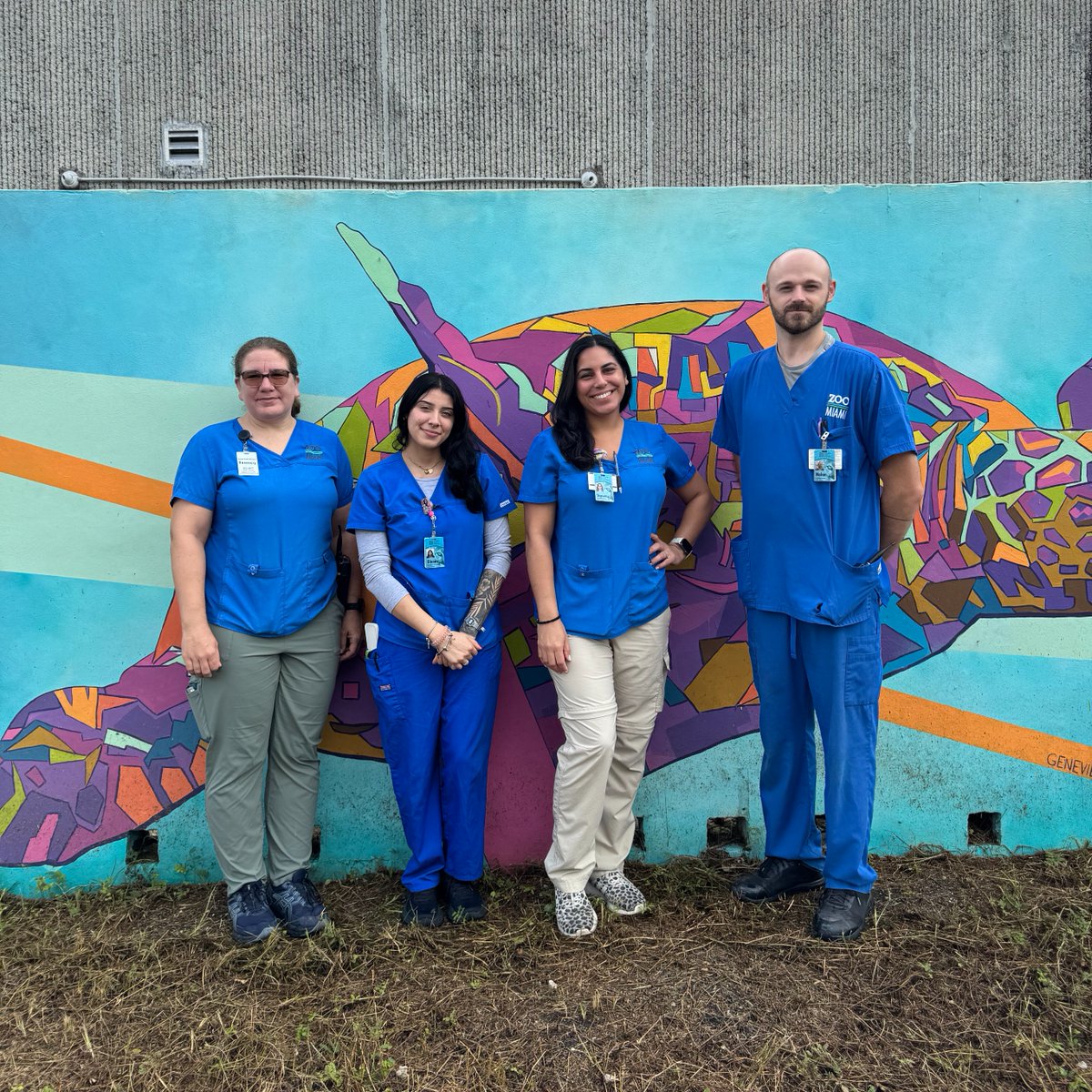 zoomiami's tweet photo. As #VetTechWeek comes to a close, here's a final shout out to our incredible team (from left to right):
๐ฉโโ๏ธ Rosemary Lucas
๐ฉโโ๏ธ Diana Gutierrez
๐ฉโโ๏ธ Stephanie Leiva
๐จโโ๏ธ Nolan Keeton
Thank you for everything you do every day for our animals. โค๏ธ #ZooMiami #VeterinaryTechnicians https://t.co/RIT6qZ8XsK