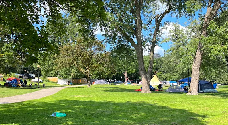 Diana Chan McNally tweet media