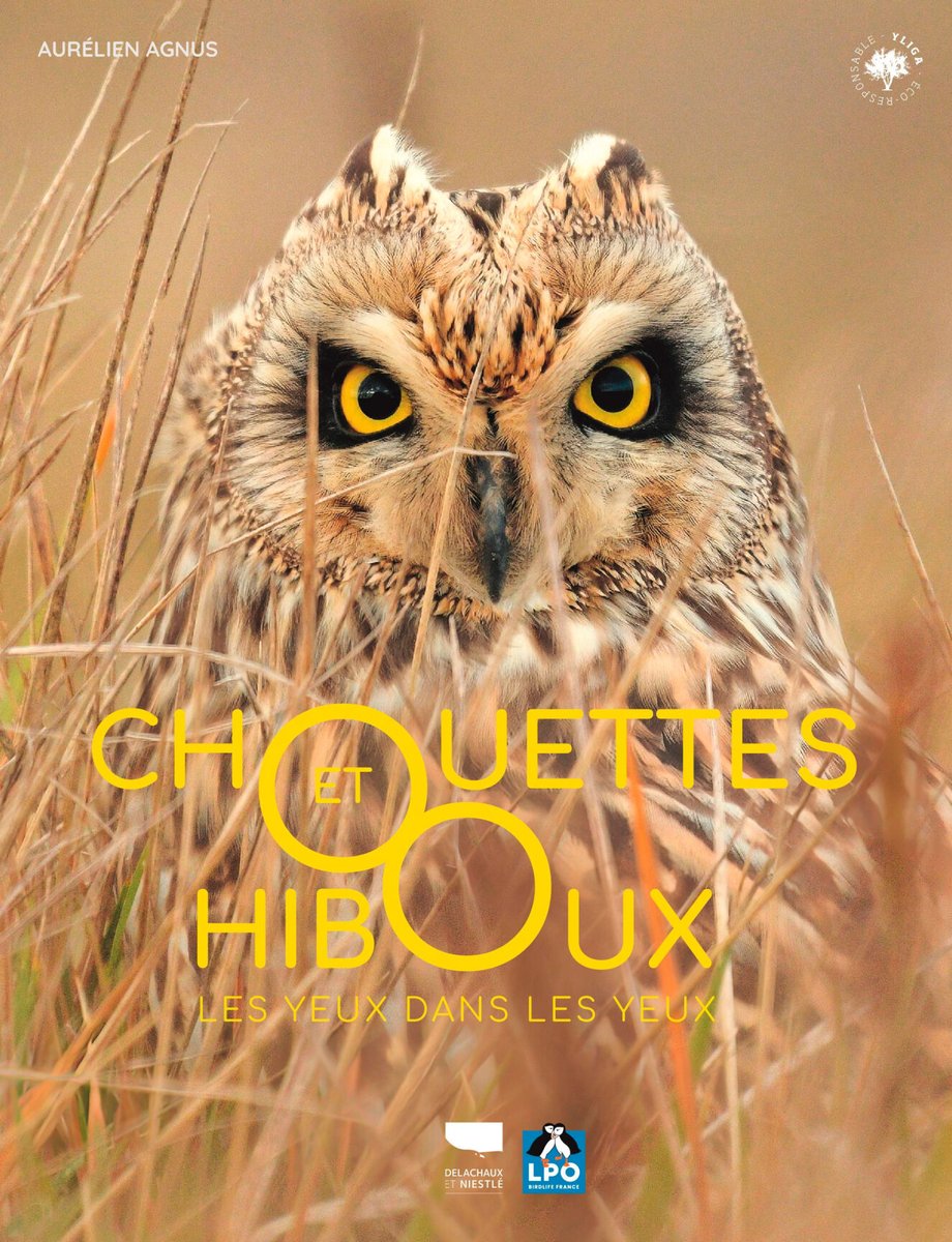 BlogMyWildlife's tweet image. Chouettes et Hiboux les yeux dans les yeux est un ouvrage d'Aurélien Agnus (éd Delachaux et Niestlé) qui nous plonge dans l'intimité des strigidae. Passionnant my-wildlife.com/chouettes-et-h… 🦉