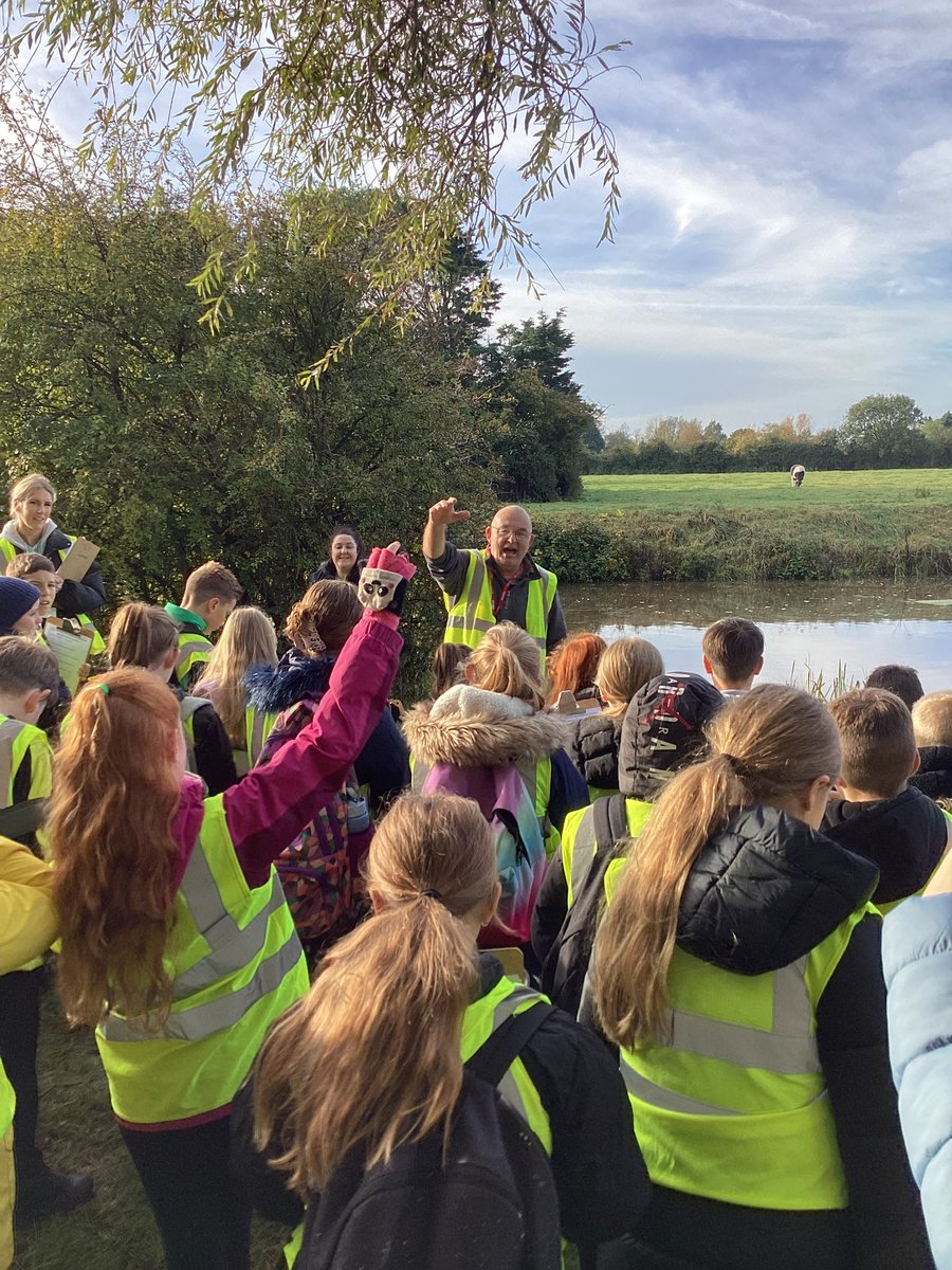 MaryEltonPrimary tweet media