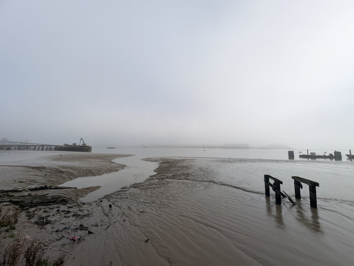 John A 🚲 tweet media