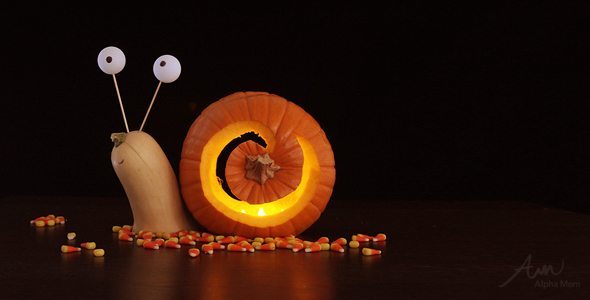 alphamom's tweet photo. Have you decorated yet for Halloween or is that on the schedule for this weekend?  We have lots of unique ideas here: https://t.co/XWF3dDOHph
We especially love 3D Jack O'Lanterns like this SNAIL one below. https://t.co/rd21TI9JCs