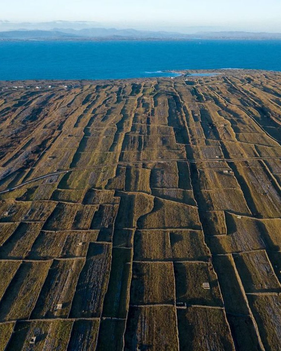 Wild Atlantic Way tweet media