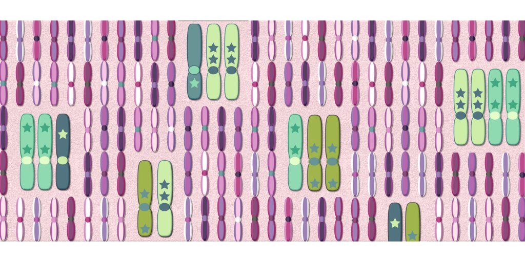 Cancer Discovery (@cd_aacr) on Twitter photo From the October issue: The History of Chromosomal Instability in Genome Doubled Tumors - by Toby Baker, <a href="/MaxGalder/">Maxime Tarabichi</a>, <a href="/VanLooLab/">Peter Van Loo</a> and colleagues <a href="/TheCrick/">The Francis Crick Institute</a> <a href="/MDAndersonNews/">MD Anderson Cancer Center</a> bit.ly/3zTPO7p From the October issue: The History of Chromosomal Instability in Genome Doubled Tumors - by Toby Baker, <a href="/MaxGalder/">Maxime Tarabichi</a>, <a href="/VanLooLab/">Peter Van Loo</a> and colleagues <a href="/TheCrick/">The Francis Crick Institute</a> <a href="/MDAndersonNews/">MD Anderson Cancer Center</a> bit.ly/3zTPO7p