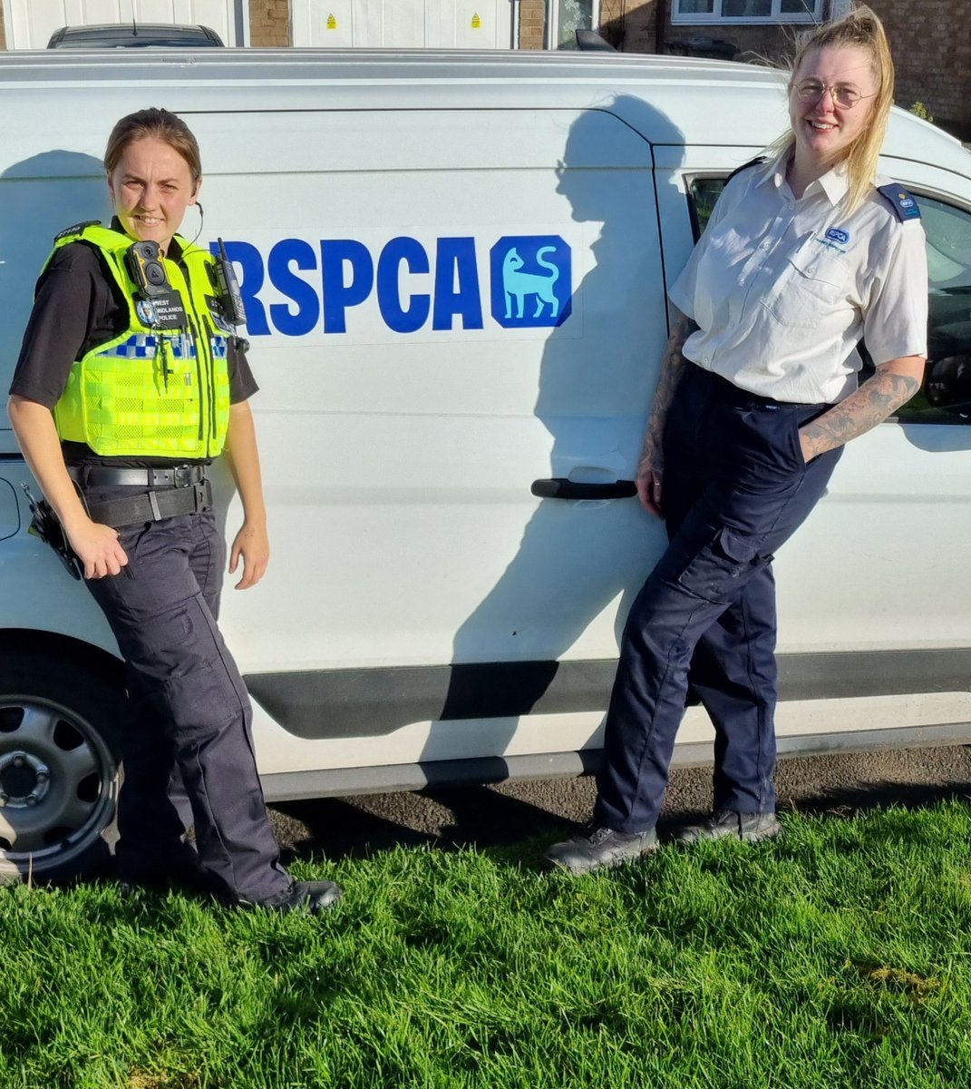 BartleyGreenWMP's tweet image. 🚓🐾 Great teamwork in action! Our local Neighbourhood Police have partnered with the RSPCA to keep our furry friends safe 🐶🐱 Together, we’re ensuring the well-being of animals in our community. If you spot an animal in need, don’t hesitate to reach out! 🐾💙