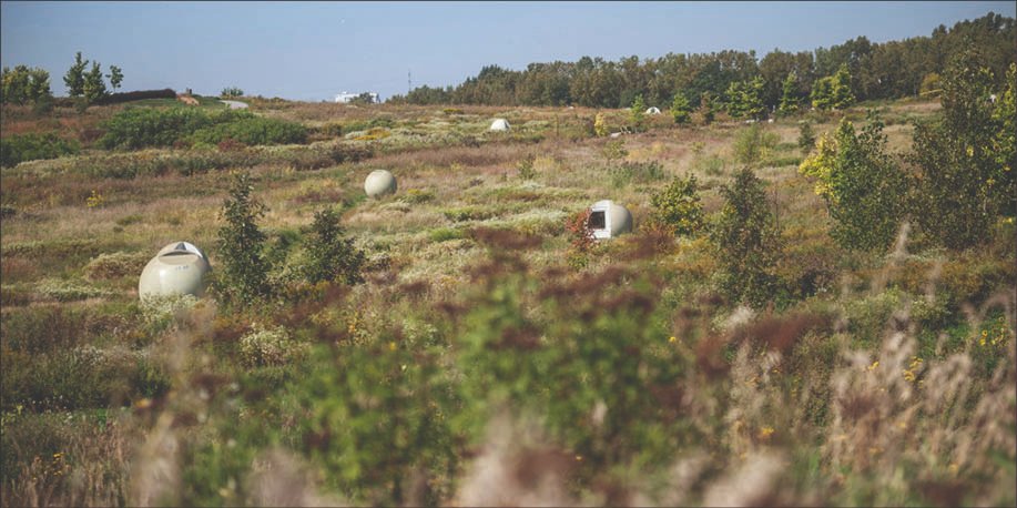 #MTL_VSP 📧 Automne en fête : activités et nouveautés à découvrir! Consultez cette infolettre et laissez-vous inspirer!  bit.ly/3NtIna7