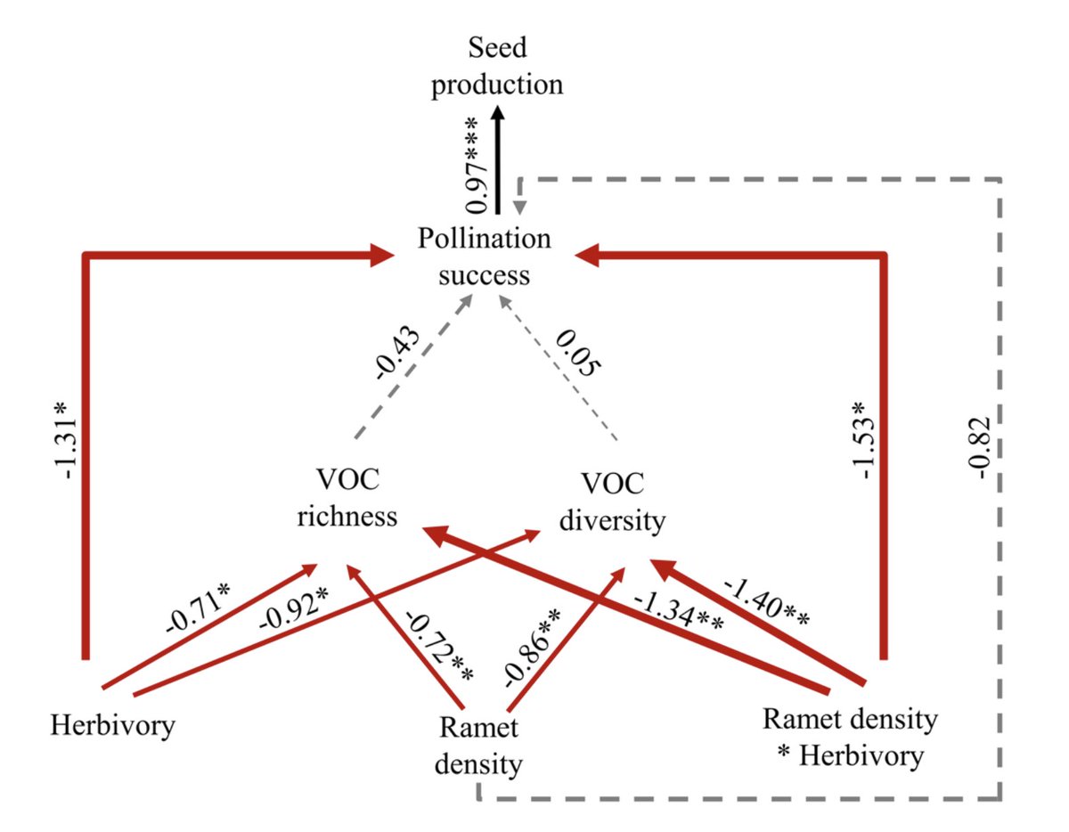Monica Kersch-Becker (@kerschbecker) on Twitter photo 🌿🌼 Exciting new publication from the Kersch-Becker Lab! Our latest research reveals the interactive effects of goldenrod ramet density and herbivory on floral volatile emissions 🌼🐛. Big congratulations to Jake on this fantastic work! 👏 <a href="/Botanical_/">Botanical Society of America</a> doi.org/10.1002/ajb2.1… 🌿🌼 Exciting new publication from the Kersch-Becker Lab! Our latest research reveals the interactive effects of goldenrod ramet density and herbivory on floral volatile emissions 🌼🐛. Big congratulations to Jake on this fantastic work! 👏 <a href="/Botanical_/">Botanical Society of America</a> doi.org/10.1002/ajb2.1…