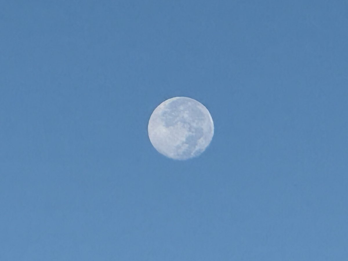 okikurashoten's tweet photo. ぐぅ〜〜もぉ〜にんぐっ
ミヤケジマァ〜💦
Aloha kakahiaka 🌕
庭に大きな月🌕
#イマソラ #golf897
#ihearthawaii @iHeart_Hawaii
#partyradiojapan @PRJ_Promotions
#worldpopradio
#オシャレ897 @shaula_vogue
#radiodisco #interfm https://t.co/OQfsp4cfeq