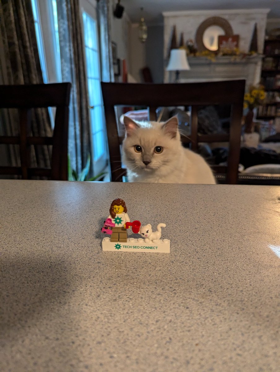 LauraLeeSEO's tweet image. Caspian approves of his Lego self. :)
#techseoconnect