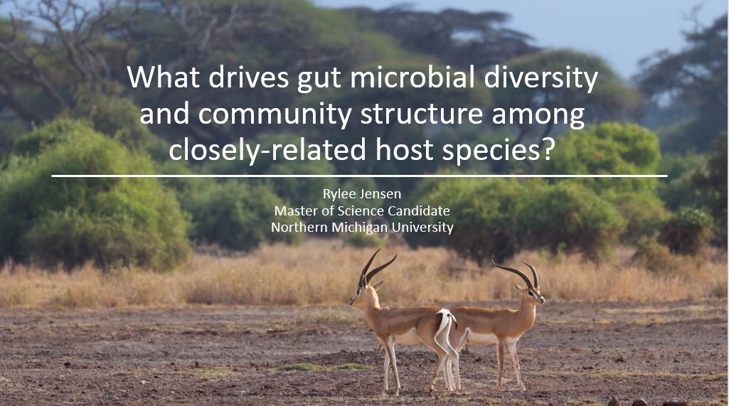 Congratulations to WECOS Lab member @ryleejayphoto for successfully defending her MS thesis. It's been an honor to work with you and to learn from you for the past 2 years. #Bioinformatics #Wildlifephotography #Microbiomes