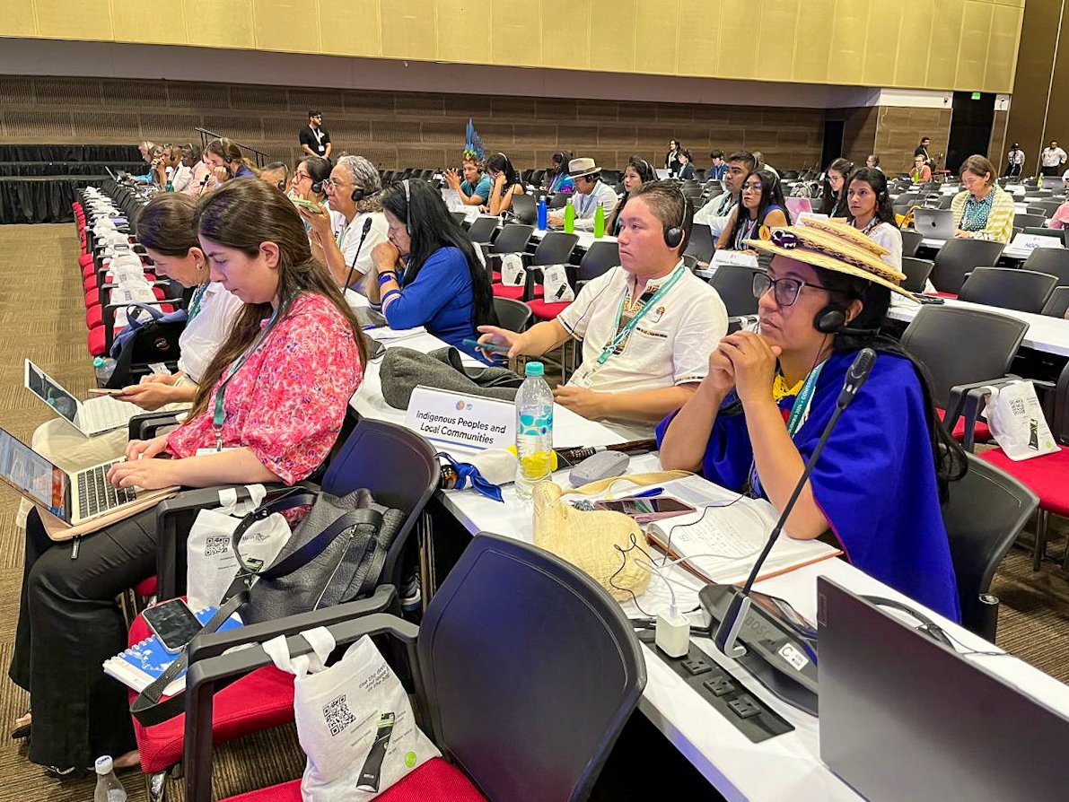 ACIM_OFICIAL's tweet photo. #ACIM participó junto a pueblos y organizaciones indígenas de diferentes partes del mundo, en el Foro Internacional Indígena sobre Biodiversidad (FIIB), cuyo propósito es orientar el camino que permitan el reconocimiento, la contribución y conservación de la biodiversidad. #COP16 https://t.co/FI7KgytS13