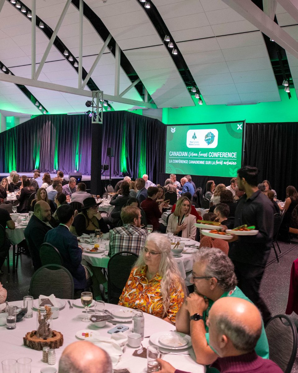 Tree Canada tweet media