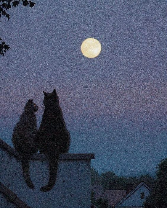 marysia_cc's tweet photo. Quint Buchholz (b.  1957) https://t.co/jJVx0jmk4E