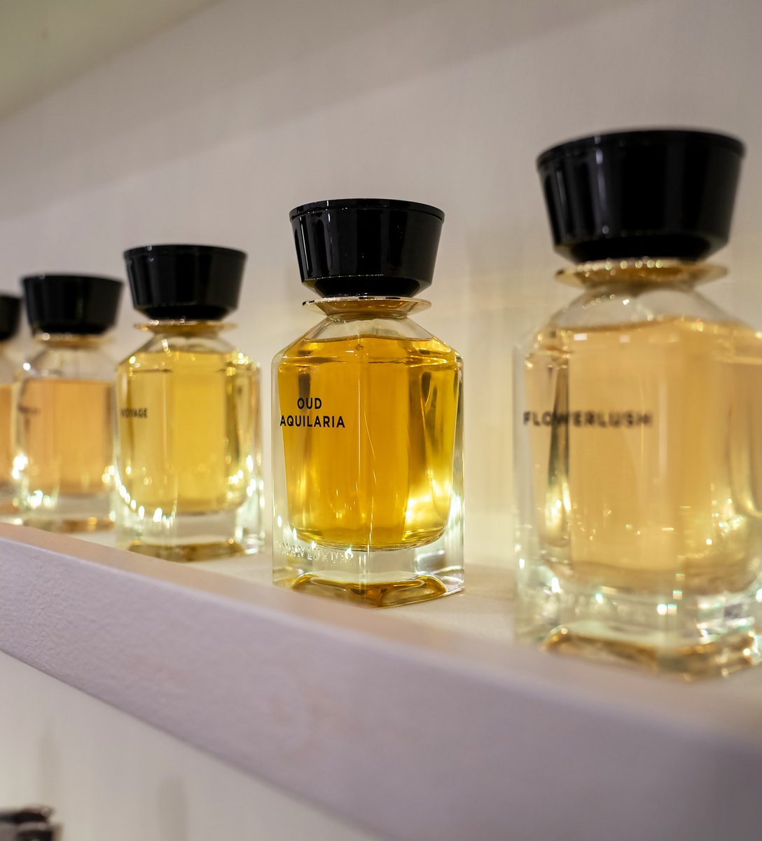 MAXAROMA tweet media