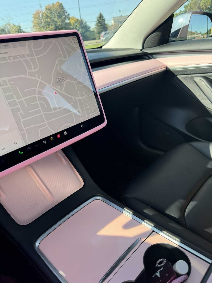 Indytaxbae's tweet photo. Just waiting on my floor mats 🎀💕 #pinktesla https://t.co/5swlvOpEUM