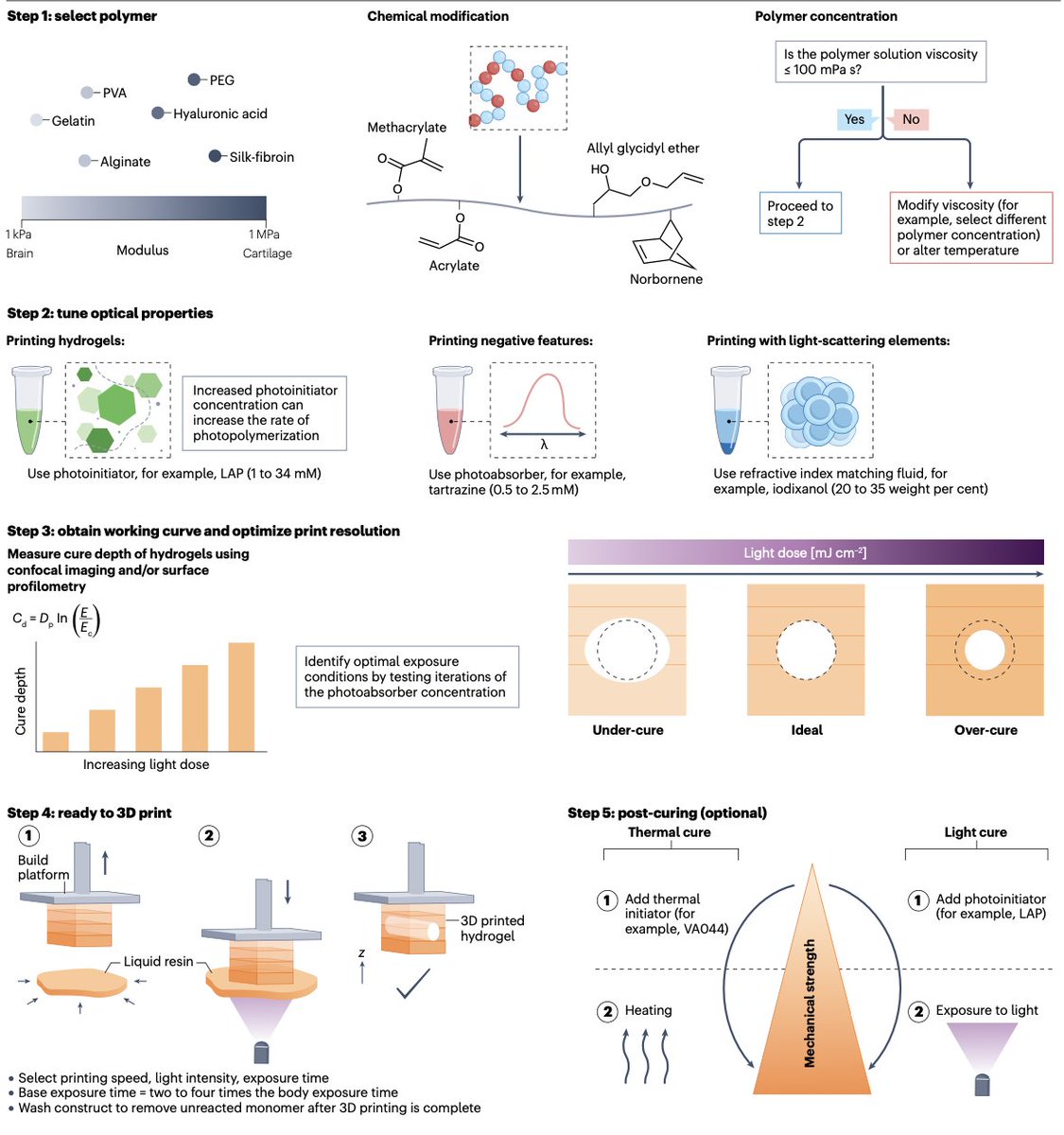 BurdickLab (@burdicklab) on Twitter photo Check out @apdhand and <a href="/Fiber_Matt/">Matthew Davidson</a>'s review article highlighting light-based strategies for 3D printing hydrogels, now out in <a href="/natrevbioeng/">Nature Reviews Bioengineering</a>!
Link: nature.com/articles/s4422…
<a href="/BioFrontiers/">BioFrontiers 💻🦠🧬🧪🧫💉📊📓</a> <a href="/pennbioeng/">Penn Bioengineering</a> <a href="/CUEngineering/">CU Boulder Engineering 🦬</a> Check out @apdhand and <a href="/Fiber_Matt/">Matthew Davidson</a>'s review article highlighting light-based strategies for 3D printing hydrogels, now out in <a href="/natrevbioeng/">Nature Reviews Bioengineering</a>!
Link: nature.com/articles/s4422…
<a href="/BioFrontiers/">BioFrontiers 💻🦠🧬🧪🧫💉📊📓</a> <a href="/pennbioeng/">Penn Bioengineering</a> <a href="/CUEngineering/">CU Boulder Engineering 🦬</a>