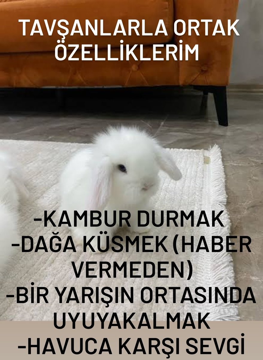 ANLIK (@anlikmod) on Twitter photo 