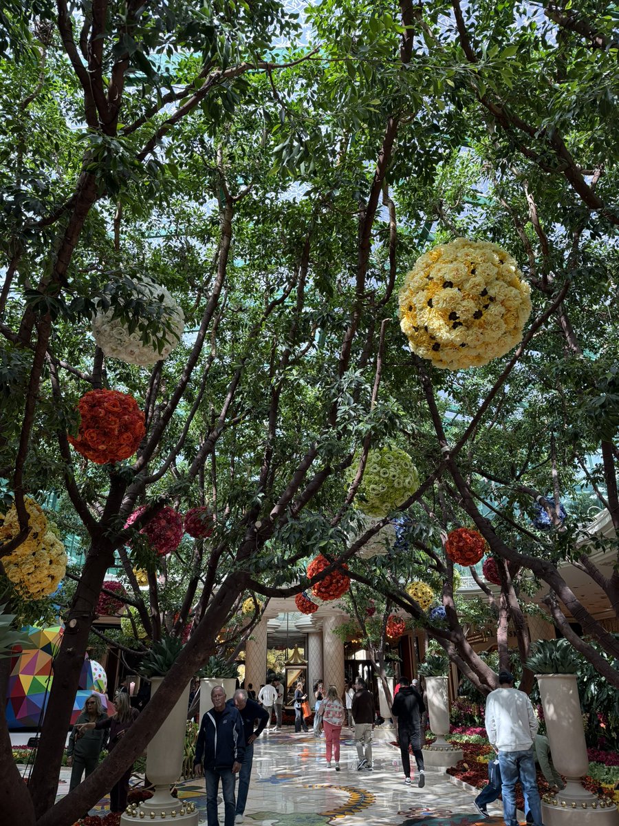 iannisaifantis1's tweet image. Back to my favorite place for #CAP24 @Pathologists @WynnLasVegas !! Stop me anytime to discuss @NYUGSOM_Path !! And, visit us at Table #1 on the 21st at the Residents and Fellows Forum! Me and @ArlineFaustin will be representing #pathology #PathMatch25