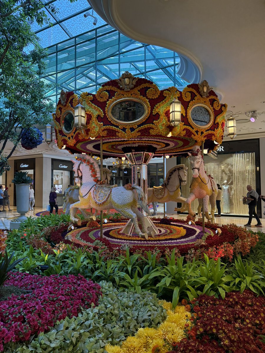 iannisaifantis1's tweet image. Back to my favorite place for #CAP24 @Pathologists @WynnLasVegas !! Stop me anytime to discuss @NYUGSOM_Path !! And, visit us at Table #1 on the 21st at the Residents and Fellows Forum! Me and @ArlineFaustin will be representing #pathology #PathMatch25