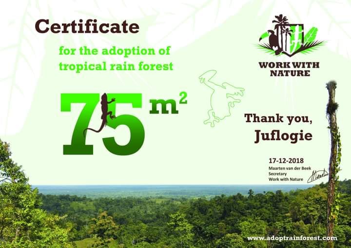 Juflogie_Nature's tweet photo. Work With Nature Protect Tropical rainforest in Costa Rica.  🌴🌴🌴
#Juflogie  , #wwn  , #nature https://t.co/1crw83OjmN