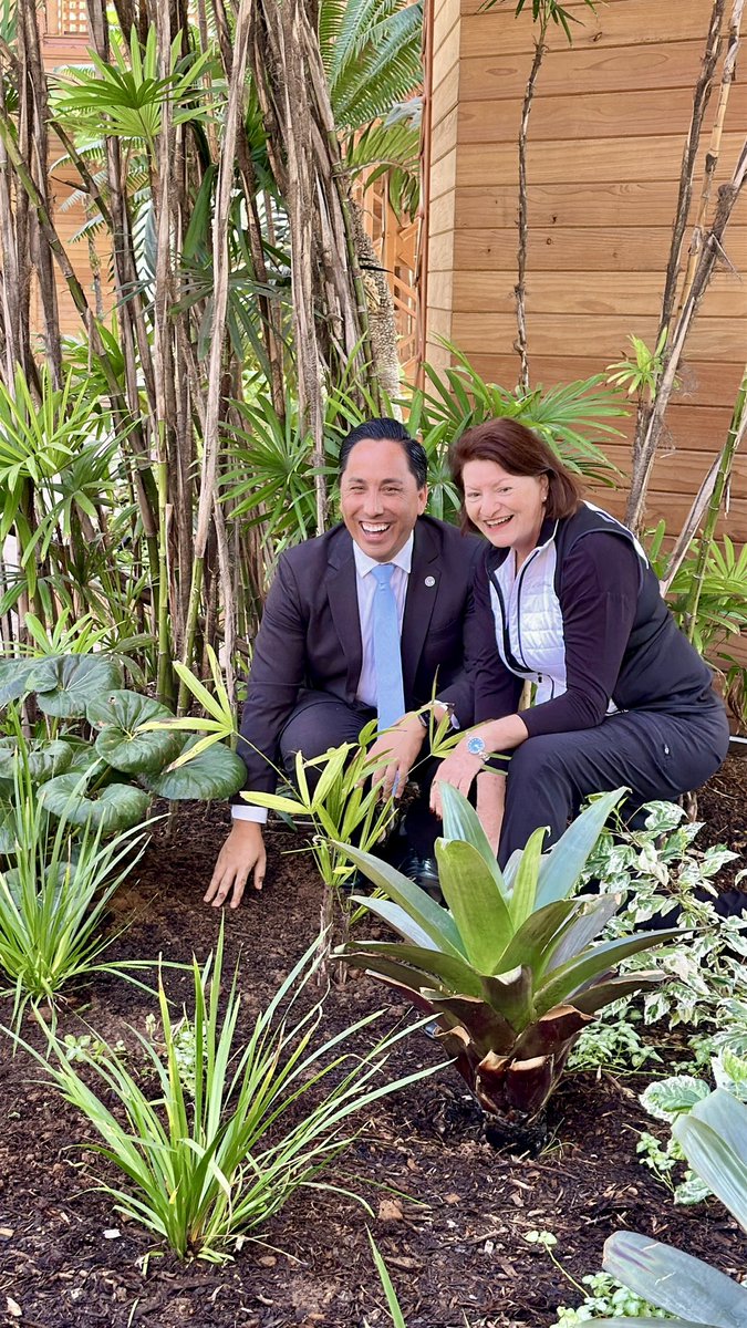 Senate President pro Tempore Emeritus Toni Atkins tweet media