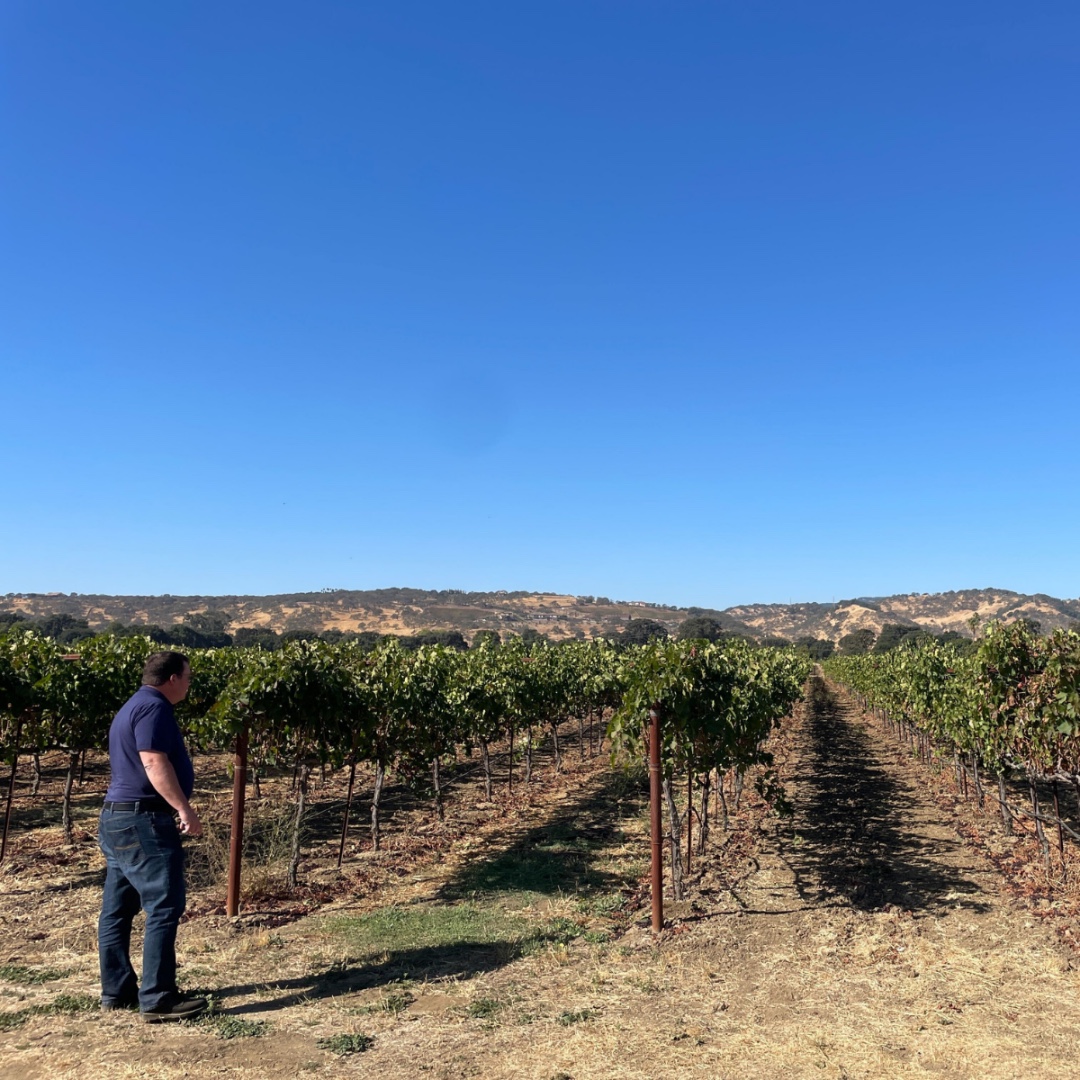 ProFarmGroup's tweet image. Glamour shots from Illustria grape demos with Jon Collison, Central California Coast Territory Sales Manager. With Illustria, our new, patented foliar fertilizer available in California, we see more uniformity, higher cluster weight, &amp;amp; improved canopy cover. #FromtheFieldFriday