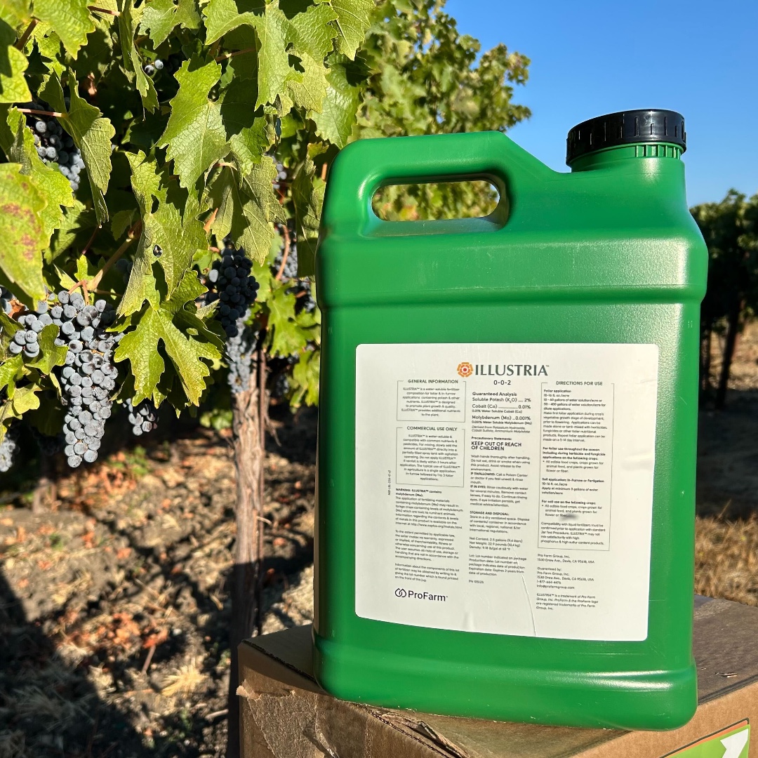 ProFarmGroup's tweet image. Glamour shots from Illustria grape demos with Jon Collison, Central California Coast Territory Sales Manager. With Illustria, our new, patented foliar fertilizer available in California, we see more uniformity, higher cluster weight, &amp;amp; improved canopy cover. #FromtheFieldFriday
