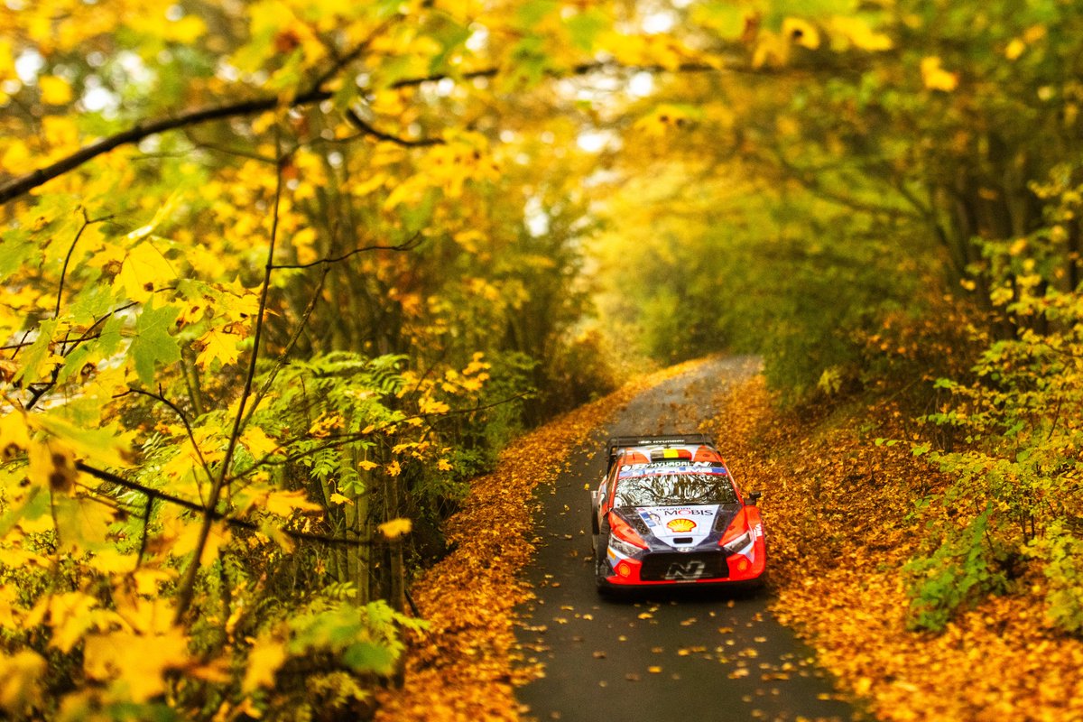 LVRally's tweet photo. Iebraucam rudenī! @OfficialWRC Centrāleiropas rallija (@cerwrc) 🇨🇿🇦🇹🇩🇪 otrajā dienā vadību pārņēmis @thierryneuville, apsteidzot @SebOgier par 6,4 sekundēm, savukārt @OttTanak seko vēl 1,4 sekundes tālāk aizmugurē.
📷 #RedBullContentPool
#WRC #CER2024 🇪🇺 https://t.co/m7CNyjXQkd