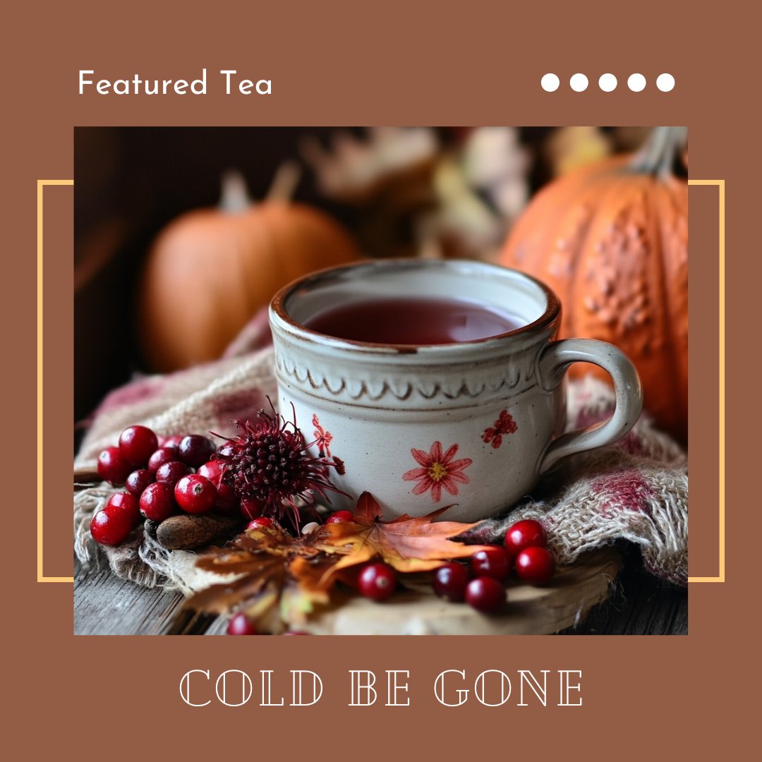 NewOrleansTeaCo's tweet photo. 🌿 Feeling under the weather? 🍵

Packed with echinacea, cranberries, and a medley of healing herbs, our caffeine-free  our Cold Be Gone refreshes and revitalizes while fighting off seasonal sniffles.

Shop here: https://t.co/6SHPdSEXhM #ColdAndFluSeason https://t.co/Te23YyEpYW