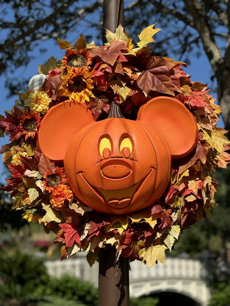 Last day at Disney and ending it with Mickey’s Not So Scary Halloween Party!

If anyone is selling 2 to 4 tickets to the Eras show tomorrow (10/19) for face value let me know.

#MiamiTSTheErasTour ✨#MNSSHP2024