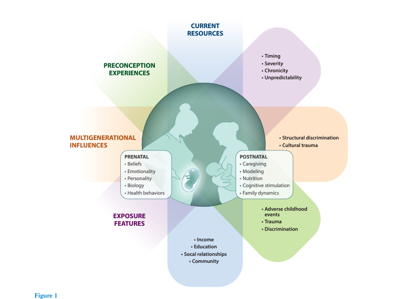 Helpful 2024 <a href="/AnnualReviews/">Annual Reviews</a>
on what's going on when moms are exposed to early-life and pregnancy stress, and how that exposure might impact child health doi.org/10.1146/annure…