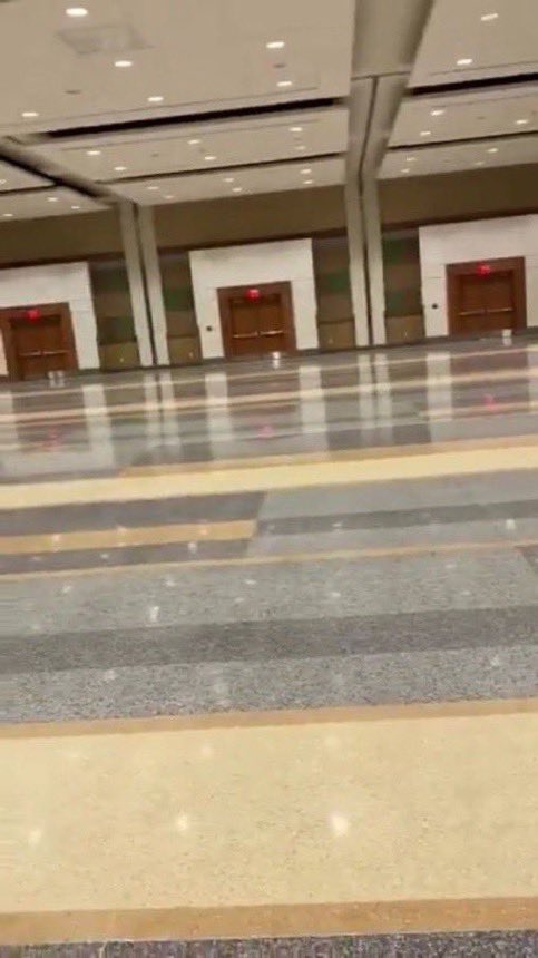 mari 🦕 tweet media