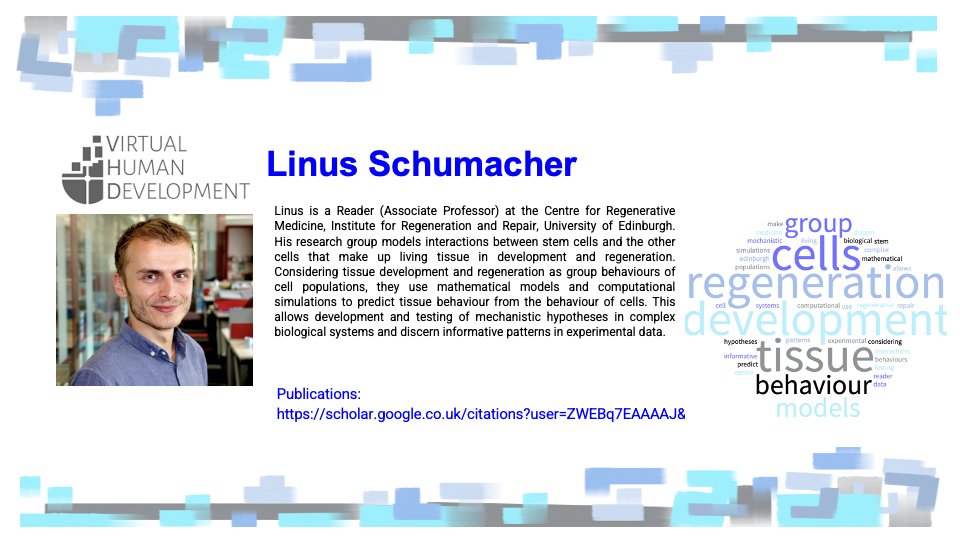 Virtual Human Development tweet media