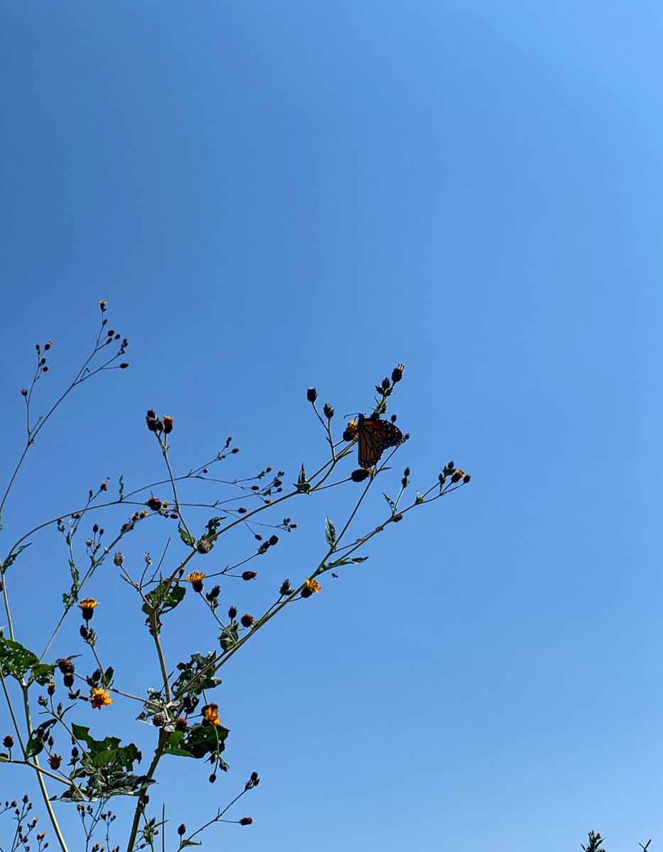 Kpakpaxe (@julswehh) on Twitter photo 