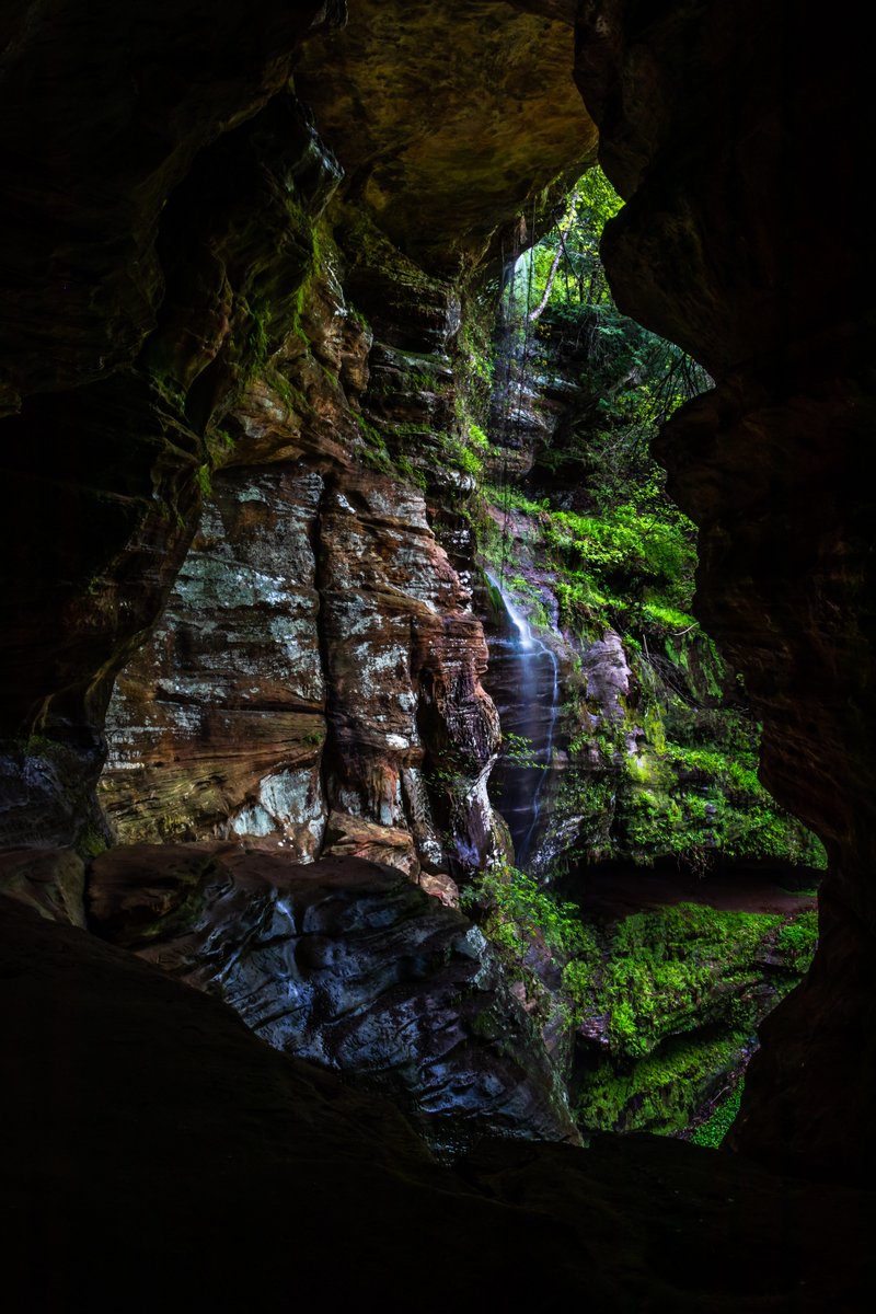 Scott King tweet media