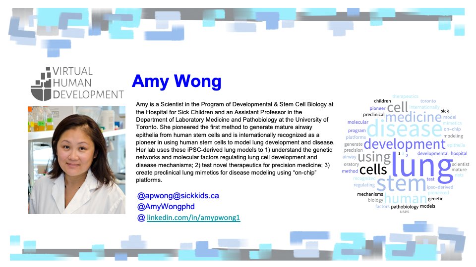 Virtual Human Development tweet media