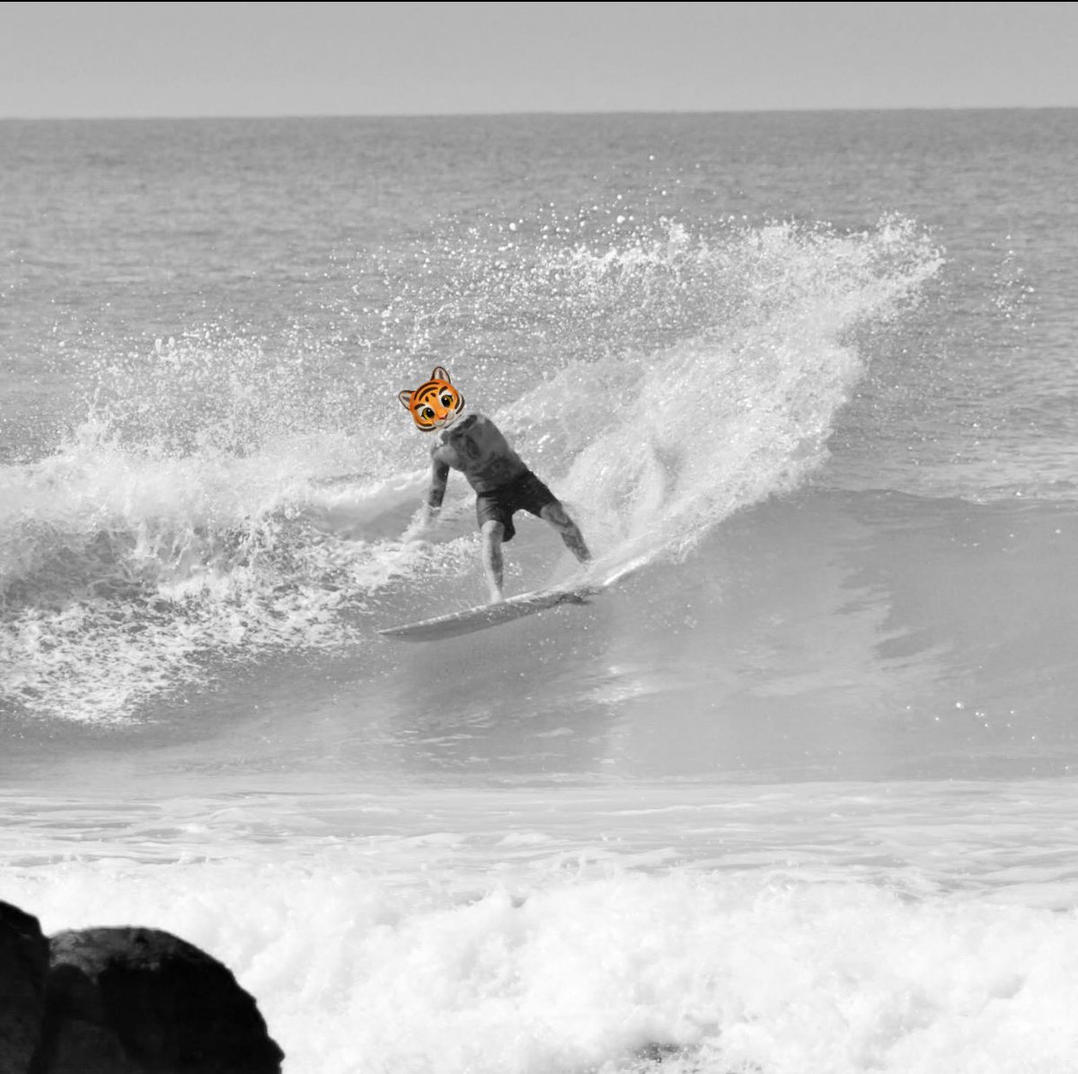 Monkeybeer00's tweet image. 4 more weeks, been 2 weeks at work 🤦🏾‍♂️
Bali - Sumba - Bwx Im in
See ya soon in 4 weeks, can’t wait
#holidayisover #surf #TrailTrabas #Surftrip